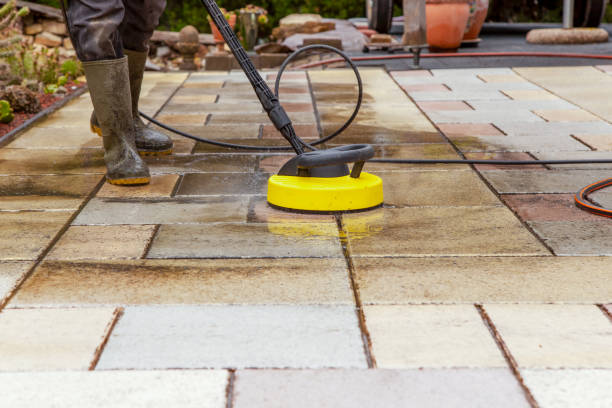 Best Driveway Pressure Washing  in Park River, ND